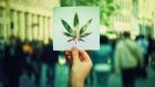 Non ho capito: la cannabis fa male oppure no?