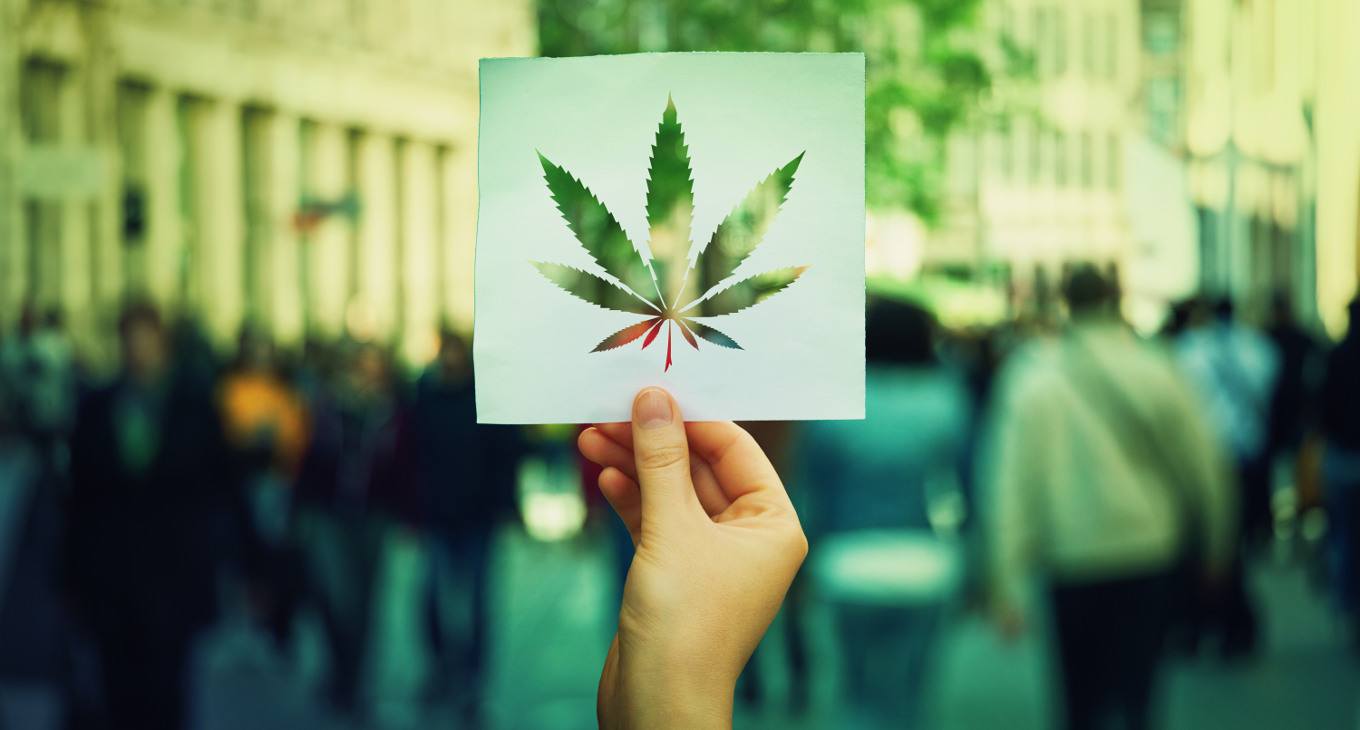 Cannabis, dal consumo ricreativo all'uso terapeutico: i rischi e i benefici