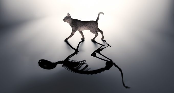 L’amico di Wigner e la psicoanalisi relazionale