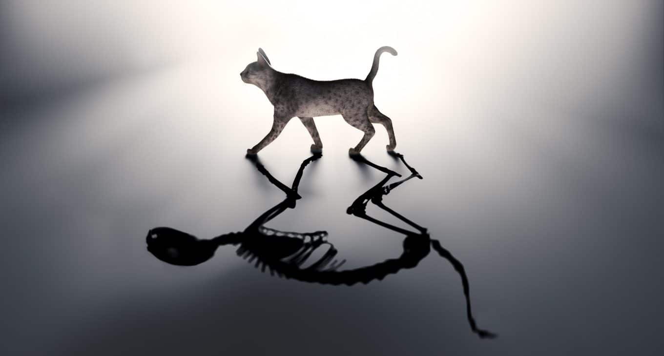 Il paradosso dell'amico di Wigner e la psicoanalisi relazionale - Psicologia