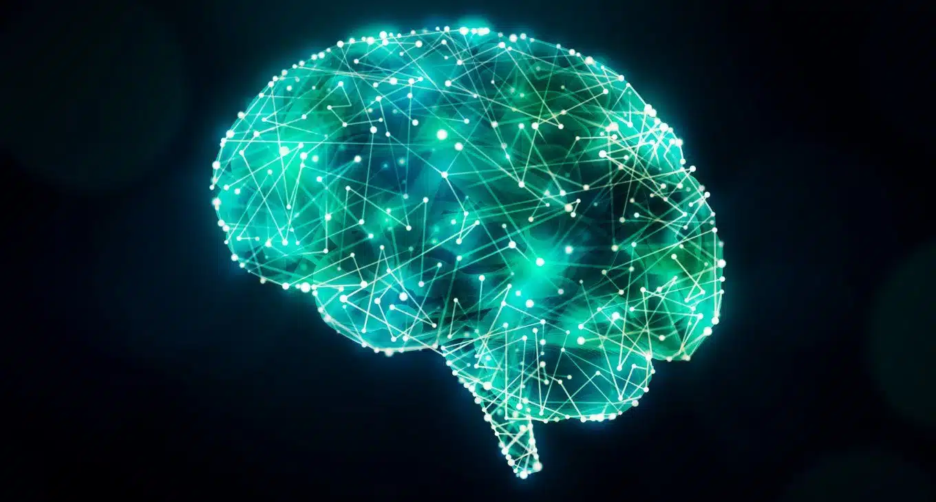 Sistema neurale: variabilità e fluidità delle sue connessioni - Neuropsicologia