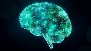 Sistema neurale: variabilità e fluidità delle sue connessioni - Neuropsicologia
