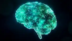 Sistema neurale: variabilità e fluidità delle sue connessioni - Neuropsicologia