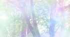 Mindfulness orientata alla relazione – Report dalla giornata di formazione