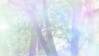 Mindfulness orientata alla relazione – Report dalla giornata di formazione