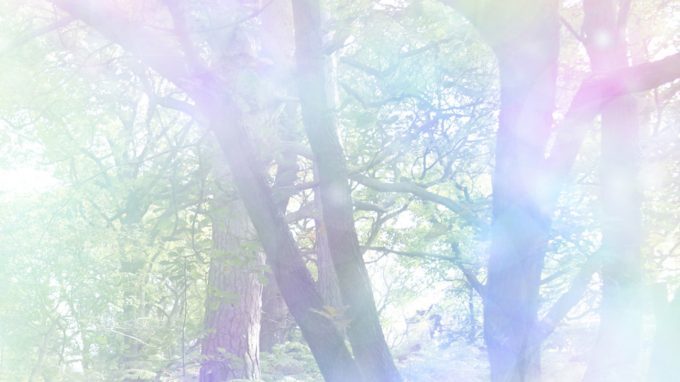 Mindfulness orientata alla relazione – Report dalla giornata di formazione