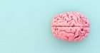 Come si riorganizza il cervello dopo l’asportazione di un emisfero?