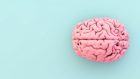 Come si riorganizza il cervello dopo l’asportazione di un emisfero?