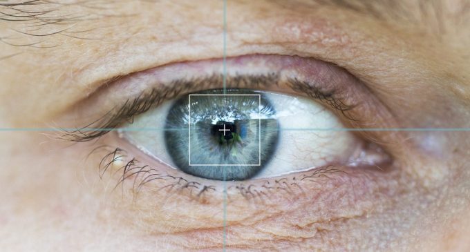 L’occhio umano coglie la fertilità nella donna che osserva: uno studio sui movimenti di esplorazione oculare