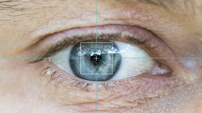 L’occhio umano coglie la fertilità nella donna che osserva: uno studio sui movimenti di esplorazione oculare