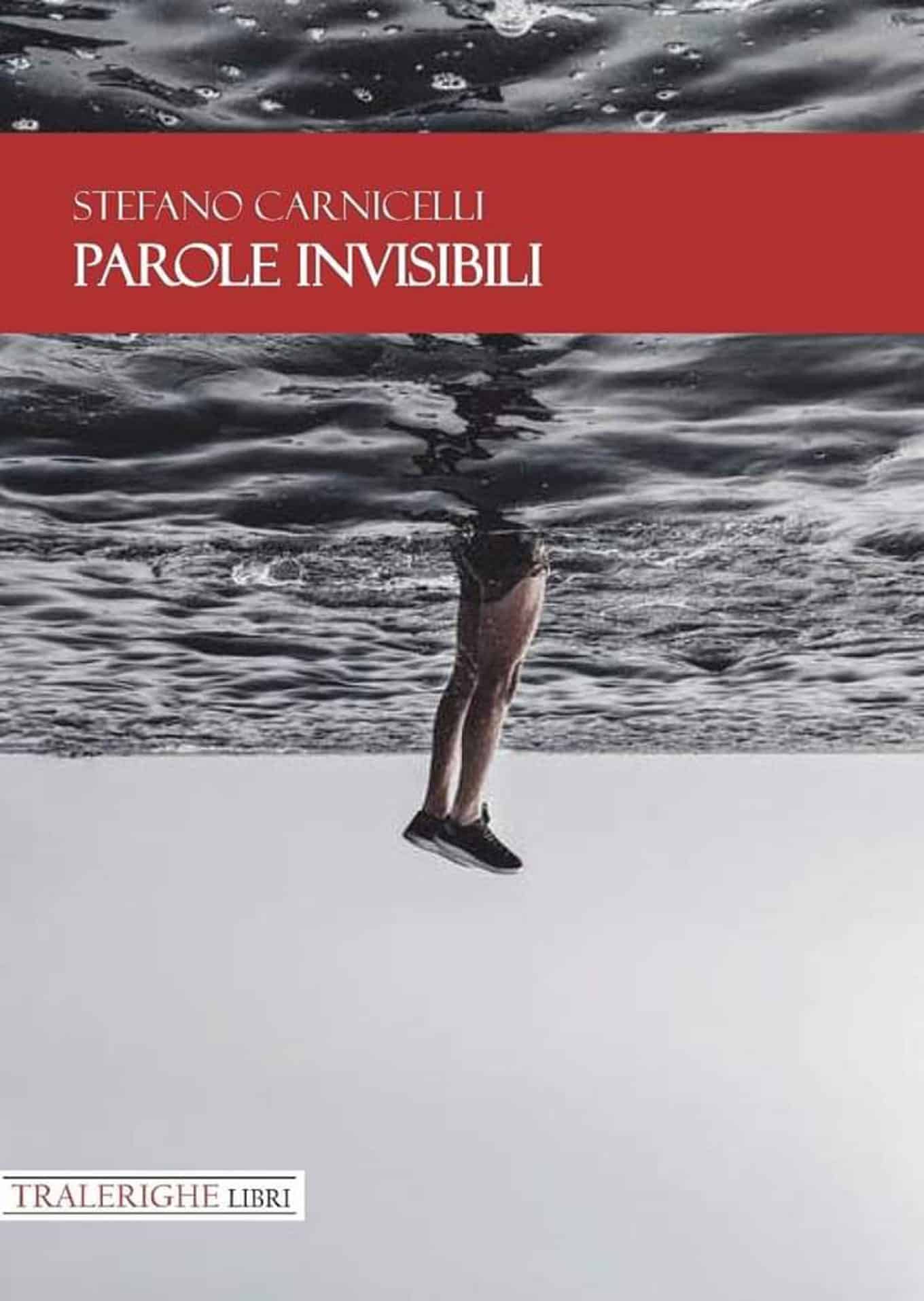 Parole invisibili 2019 di Stefano Carnicelli Recensione del libro featured