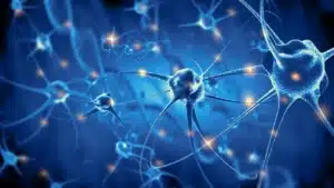 I meccanismi neurobiologici della Terapia Metacognitiva