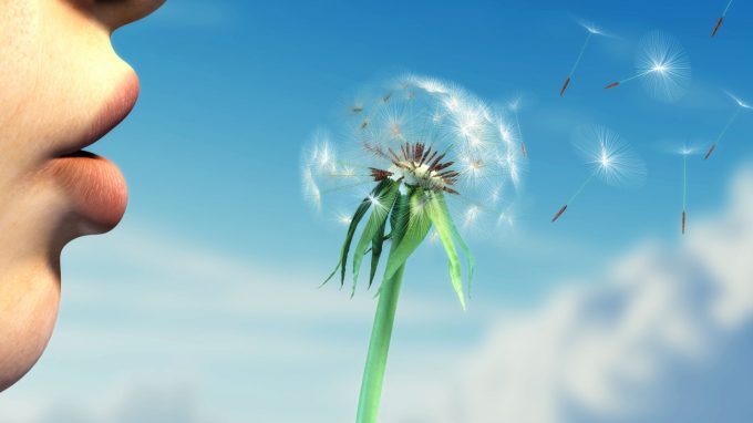 Che cos’è e come funziona una CEB (classe di esercizi di bioenergetica)