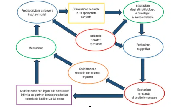 Disturbo dell eccitazione sessuale femminile e disturbi alimentari - immagine 1