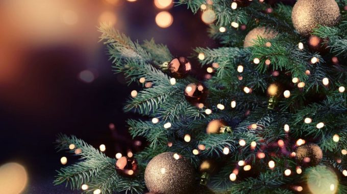 Natale con i tuoi? Il microbiota intestinale ha qualcosa da dire in merito!