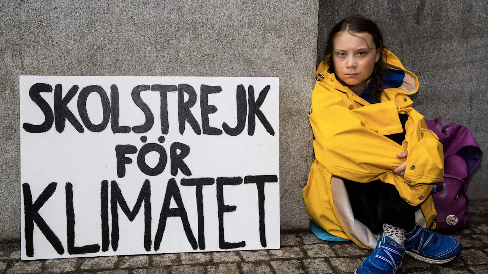 Greta Thunberg risvolti del suo ruolo nella societa attuale Psicologia