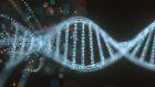 Sulle cause dei disturbi alimentari: la genetica