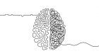 Due tipologie di schizofrenia, due cervelli diversi