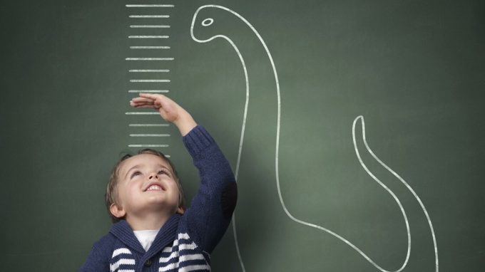 Le quattro premesse della teoria sterniana dell’esperienza – la distinzione tra forma e contenuto dell’esperienza e l’intersoggettività