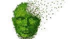 Aspetti neuropatologici e neuropsicologici nella variante comportamentale della demenza frontotemporale (bvFTD)