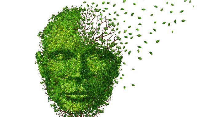 Aspetti neuropatologici e neuropsicologici nella variante comportamentale della demenza frontotemporale (bvFTD)
