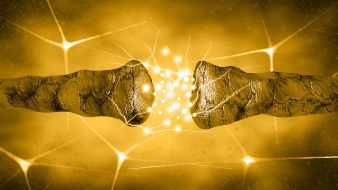 Come la dopamina guida l’attività cerebrale