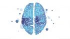 “Emozioni e Ragione ai tempi del Coronavirus”: intervista a un grande esperto nell’ambito delle neuroscienze, il Prof. Massimiliano Oliveri