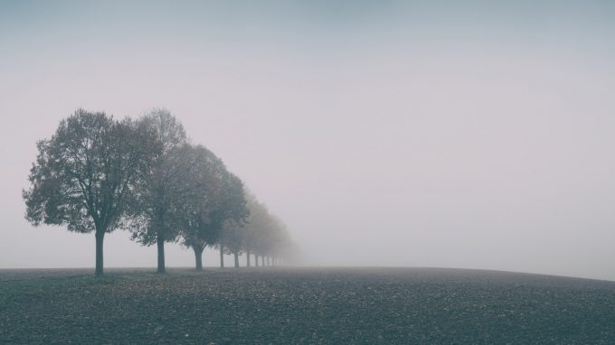 A cosa serve la psicologia? Una risposta nell’elaborazione del lutto