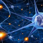 Neurone: la sua scoperta e l'evoluzione delle teorie sul tessuto nervoso