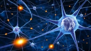 Neurone: la sua scoperta e l'evoluzione delle teorie sul tessuto nervoso