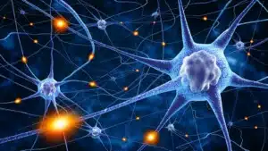 Neurone: la sua scoperta e l'evoluzione delle teorie sul tessuto nervoso