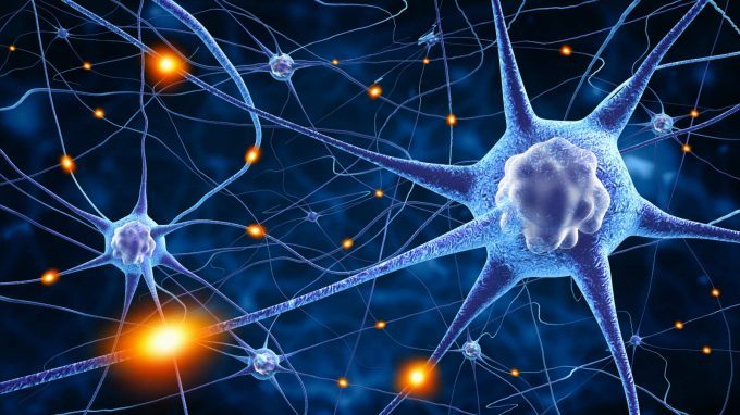 Alla scoperta del neurone: dalla “reazione nera” di Golgi alla sinapsi di Sherrington