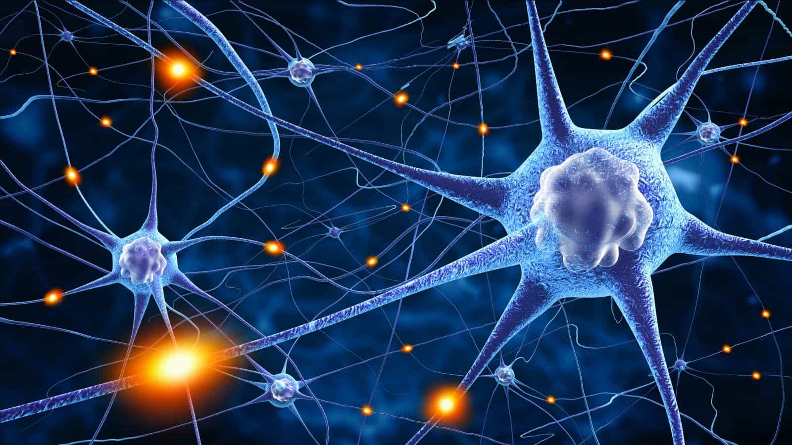 Neurone: la sua scoperta e l'evoluzione delle teorie sul tessuto nervoso
