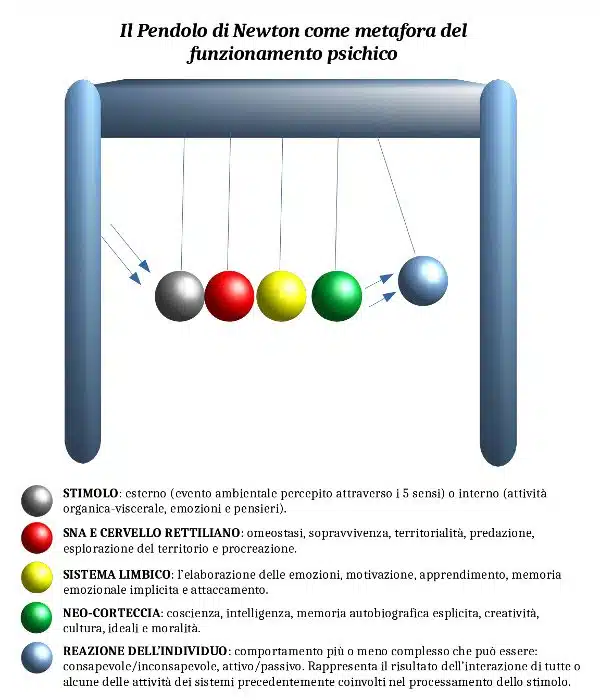 Pendolo di Newton l'analogia con il funzionamento della mente umana