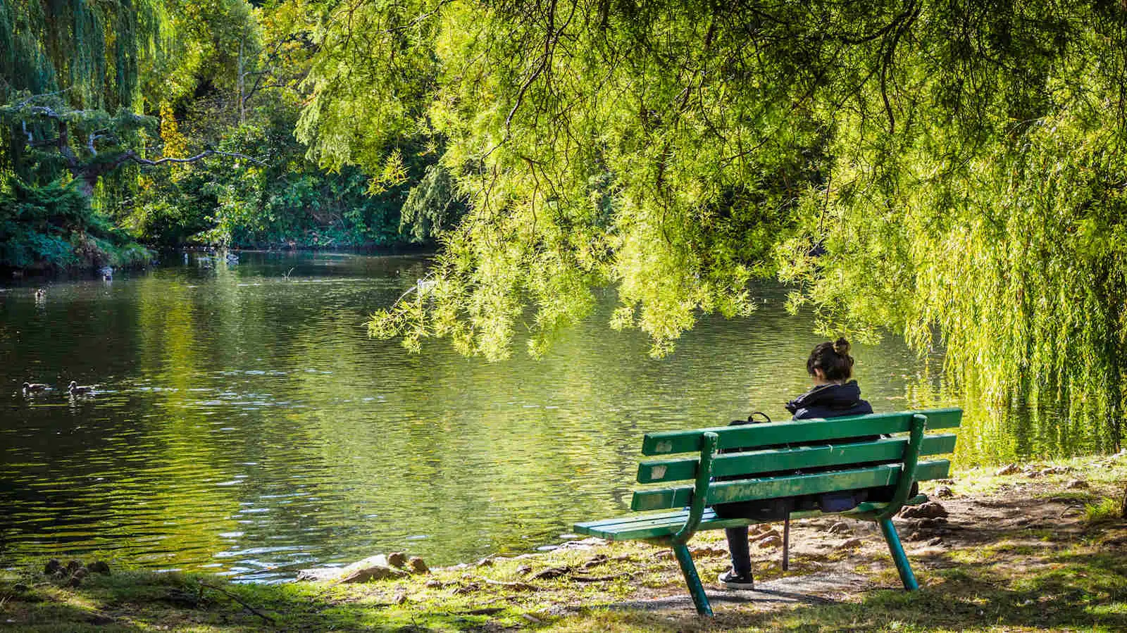 Silenzio e natura: i benefici psicologici di questi elementi combinati