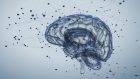 Stimolazione cerebrale non invasiva per potenziare gli effetti di interventi comportamentali e di psicoterapia