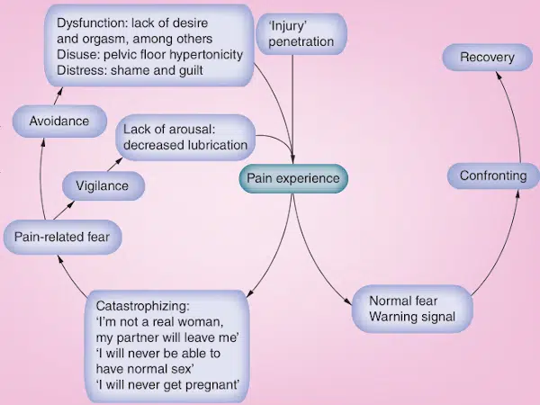 Disturbo da Dolore Genito Pelvico e della Penetrazione cause sottostanti Fig 1