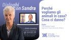 Dialoghi con Sandra – VIDEO dell’ottavo incontro “Perché vogliamo gli animali in casa? Cosa ci danno?”
