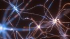 Alti livelli di ketamina possono spegnere momentaneamente il cervello