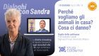 Dialoghi con Sandra Sassaroli: ottavo appuntamento – Diretta Streaming