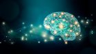 Darwinismo neuronale. L’impatto paradossale delle neuroscienze nella ricerca e nella pratica psicologica
