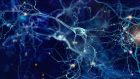 Gli exergame e la stimolazione transcranica non invasiva. Effetto sinergico sul funzionamento cognitivo?