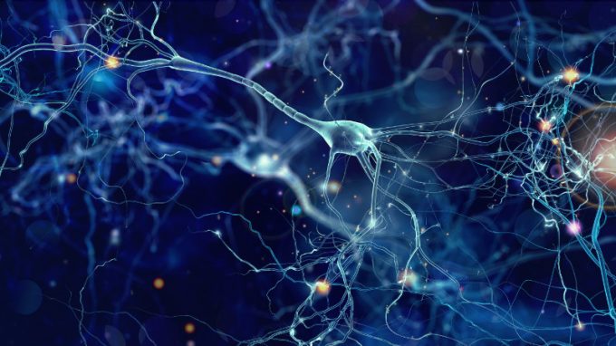 Gli exergame e la stimolazione transcranica non invasiva. Effetto sinergico sul funzionamento cognitivo?