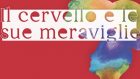 Il Cervello e le sue Meraviglie: tra teatro e neuroscienze – Un progetto di Abraxa Teatro