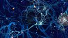 La Deep Brain Stimulation nel Parkinson