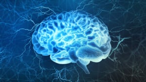 PTSD: le implicazioni neurologiche legate agli eventi traumatici