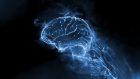 Il Morbo di Parkinson, la Deep Brain Stimulation e lo sviluppo di strategie di intervento integrato nella gestione della malattia
