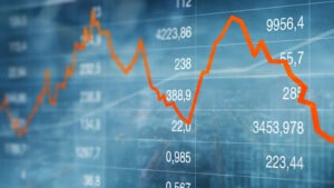 Processi decisionali nei mercati finanziari: i bias degli investitori