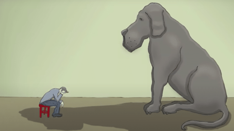 Depressione, ovvero il cane nero due video per aiutare chi ne soffre