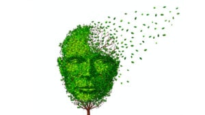 Invecchiamento cerebrale, PTSD e gene Klotho: possibili associazioni